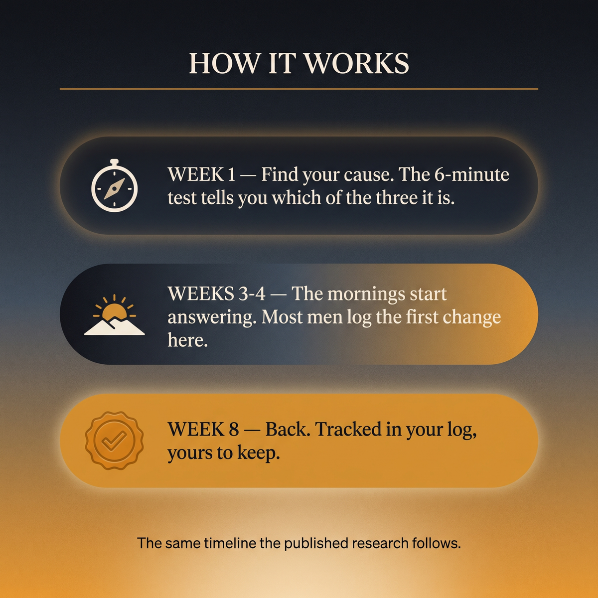 How it works — week 1 to week 8 timeline