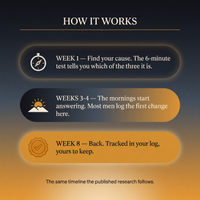 How it works — week 1 to week 8 timeline